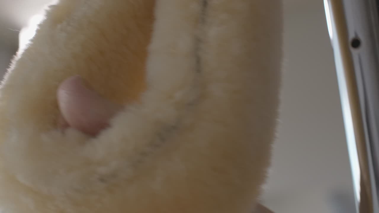 발바닥으로 필라테스 루프를 고 있는 인식할 수 없는 운동선수 여성, 생방송 카메라가 체육관에서 운동하는 활동적인 건강한 백인 여성의 움직임을 따라간다.