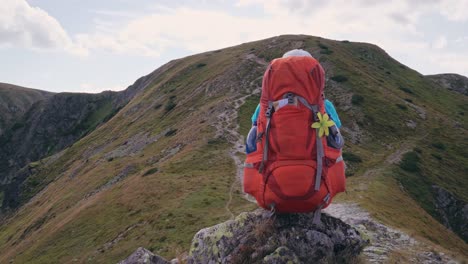 Junge-Rucksacktouristin-Sitzt-Und-Genießt-Die-Berglandschaft