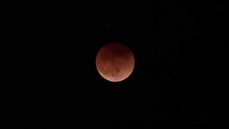 super flower blood moon lunar eclipse