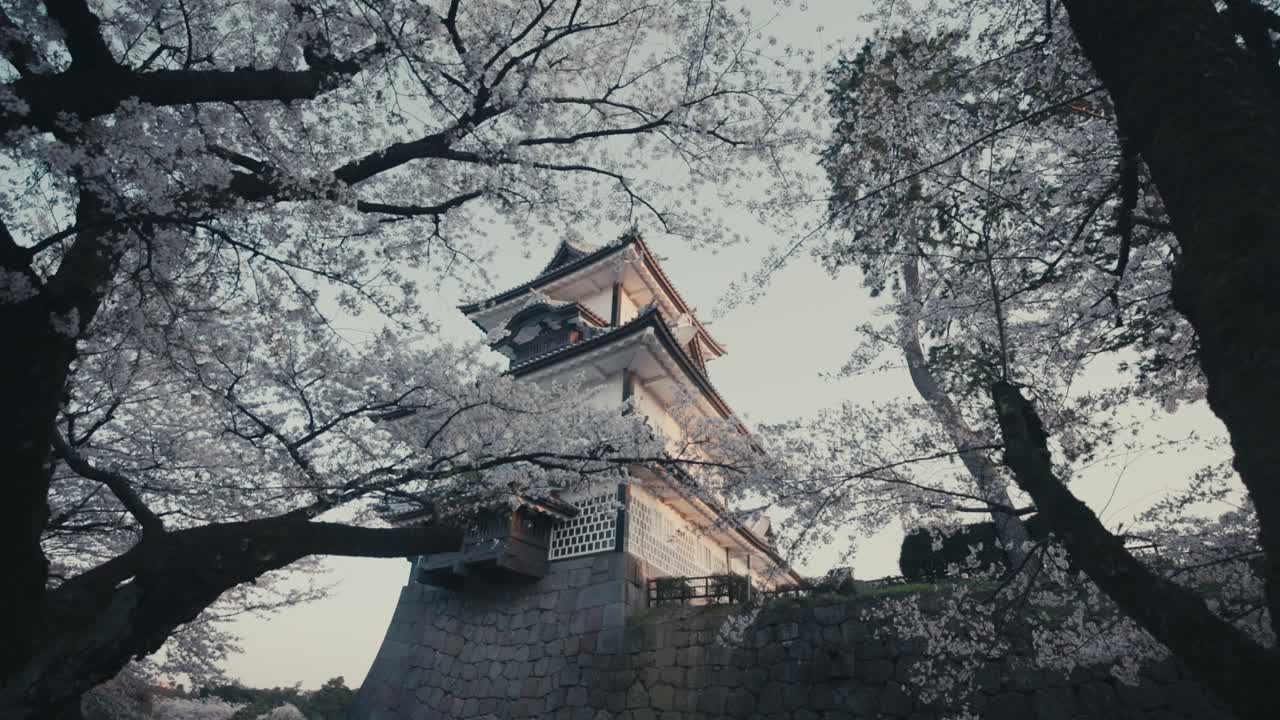 Kanazawa Castle Watchtower Through Cherry Blossoms In Spring In Kanazawa, Japan