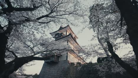 kanazawa castle watchtower through cherry blossoms in spring in kanazawa, japan