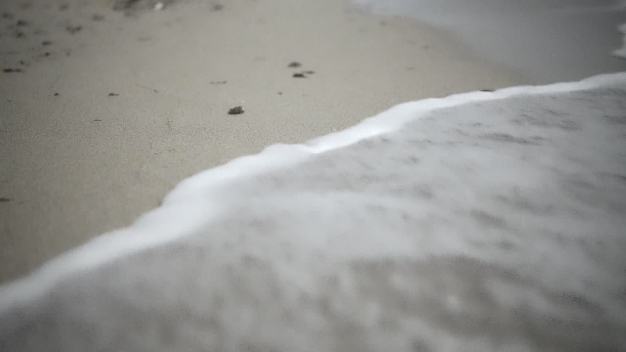 새끼 거북이가 기어다니며 바다를 향해 이동하는 하 모래 해변, 야생 야생 동물, 밤의 마을 모험, 흐릿한 밤, 아름다운 갈색 배경의 경이로운 자연, 이란의 해안 풍경, 여행.