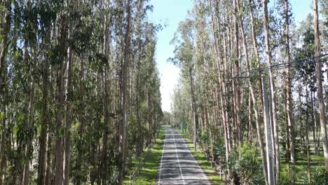 Carretera-Loma-Verde,-Región-De-Valparaíso