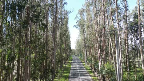 carretera loma verde, región de valparaíso