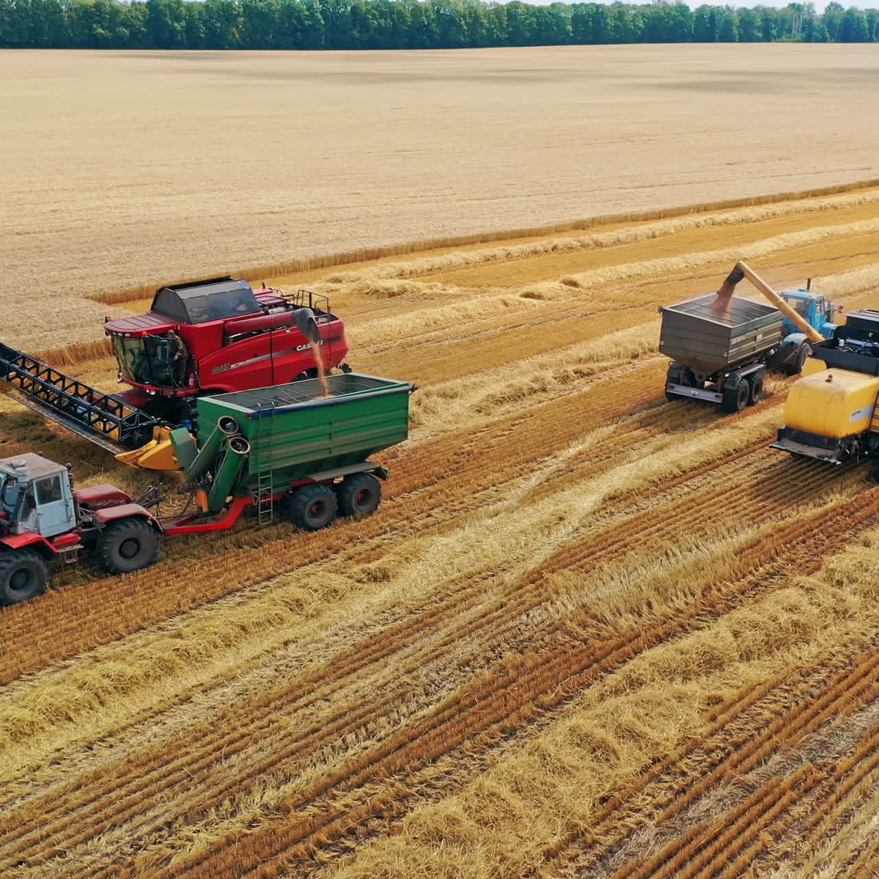 Two harvesters on the field working