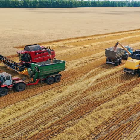 two harvesters on the field working