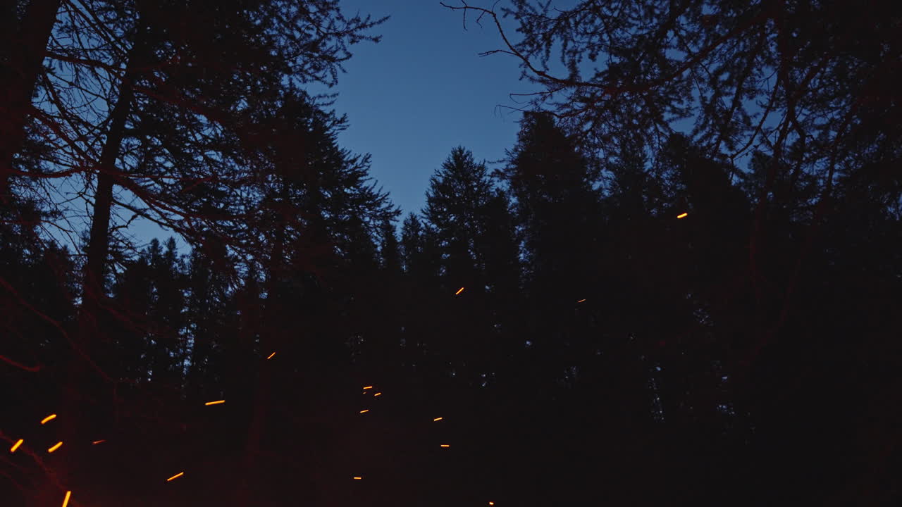 Night campfire in forest with glowing embers and starry sky above