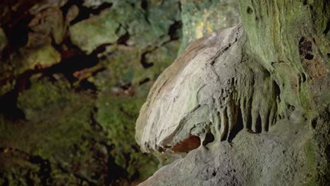 Prehistoric-cave-mud-detail-medium-shot,-gimbal-movement