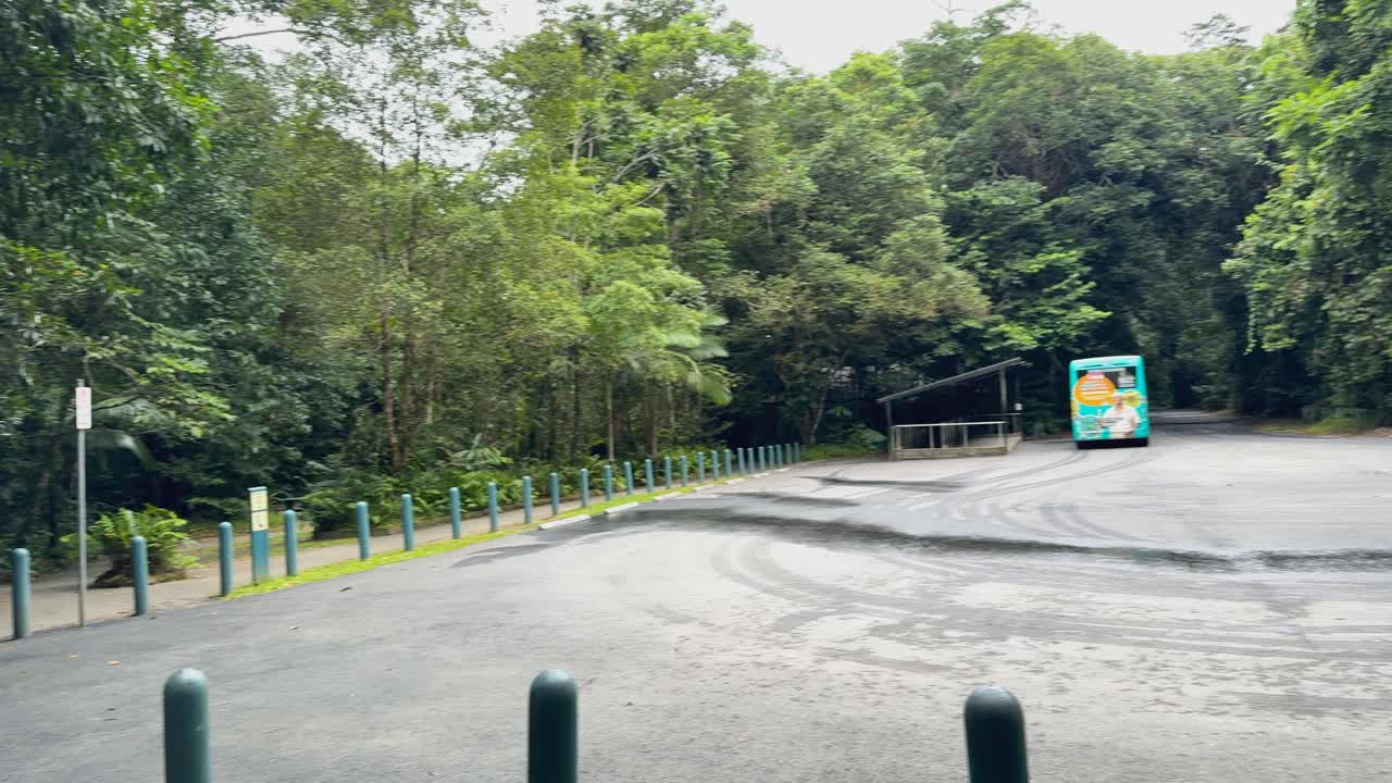 A bus moves through a quiet, forested carpark with lush greenery and overcast lighting