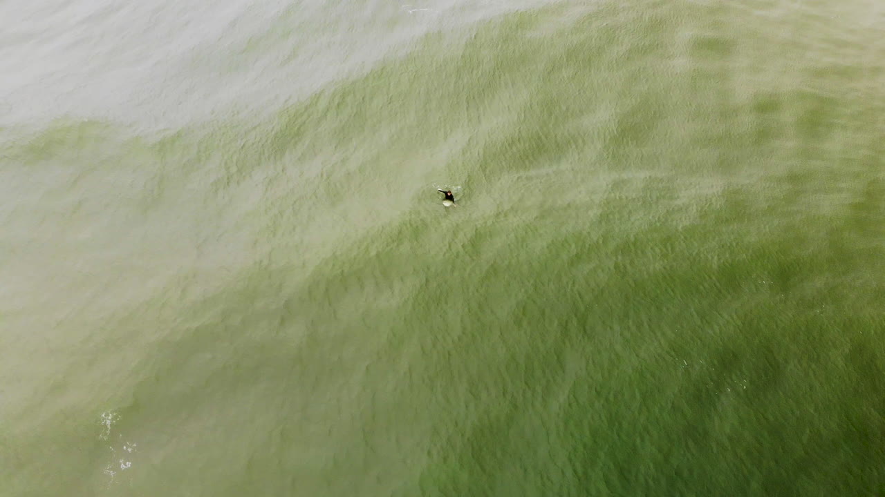 파도를 통해 바다에서 얕은 서퍼의 공중 샷