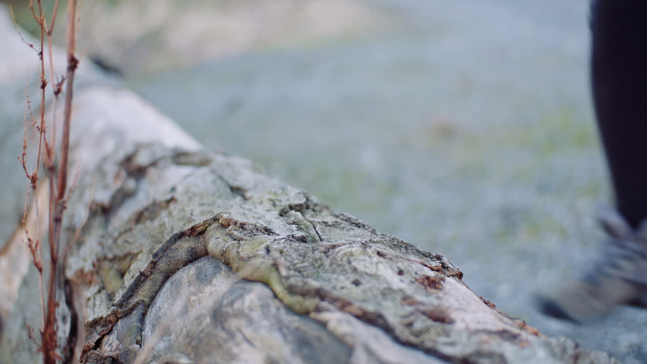 나무 줄기에 신발을 묶는 여자 1