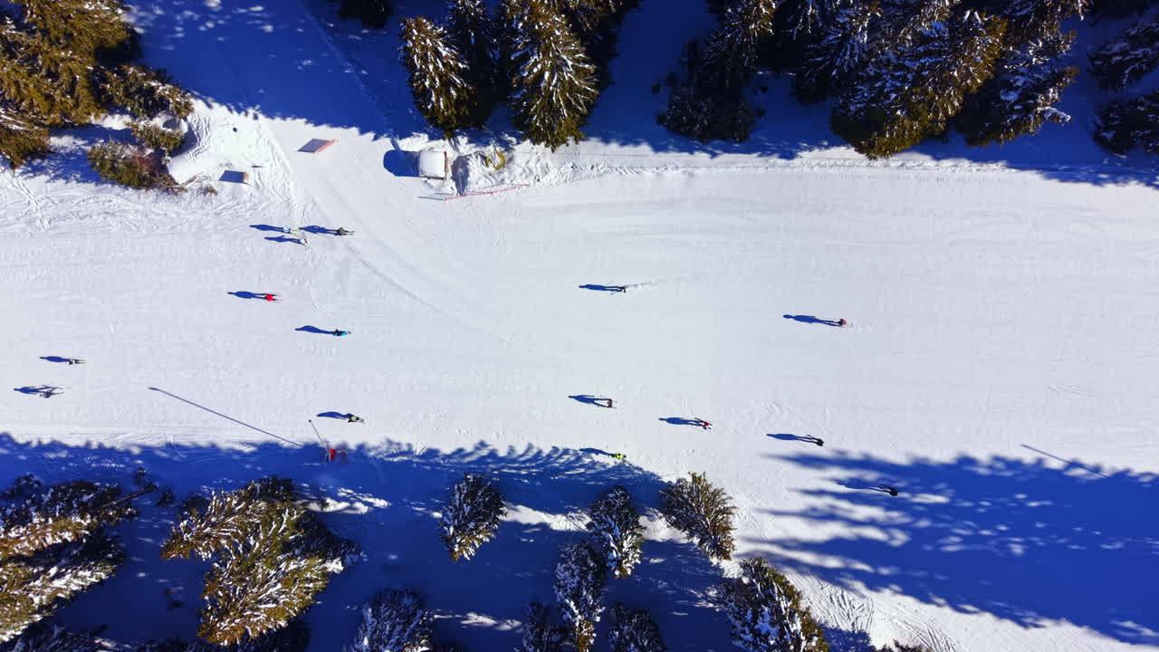 People ski on a snowy slope surrounded by trees with clear sky in a winter scene during the day at a ski resort in the mountains
