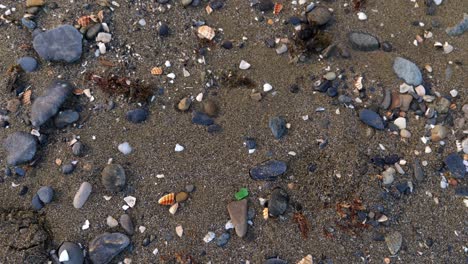 Blick-Von-Oben-Auf-Die-Hand,-Die-Steine-Vom-Kiessandstrand-Aufsammelt