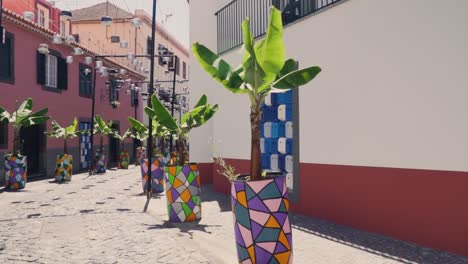 colorful european alleyway with banana trees and painted pots