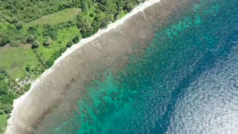 Luftaufnahme-Aus-Der-&quot;Vogelperspektive&quot;-Eines-Strandes-Mit-Türkisfarbenem-Meer-In-Negros-Oriental,-Philippinen,-Urlaubsparadies