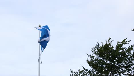 bandera escocesa ondeando cerca del monumento de william wallace