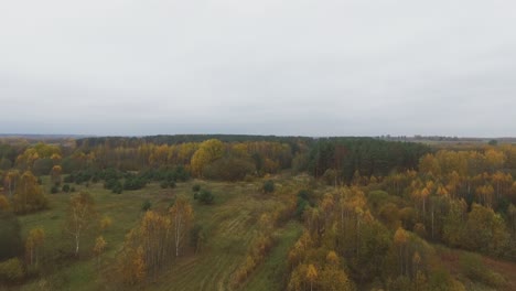 Vuelo-Hacia-Adelante-Hacia-El-Colorido-Bosque-Nublado-Día-De-Otoño