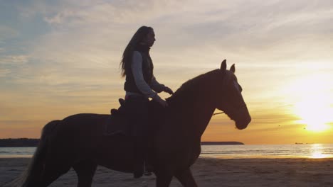 silhouette of young rider on horse at beach in sunset light.