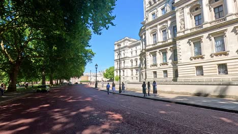 people walking along a tree-lined street