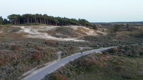 tourist rides on a bike within the zuid-kennemerland national park in north holland