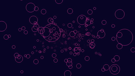 Dark background comes alive with bright pink bubbles dancing freely