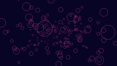 dark background comes alive with bright pink bubbles dancing freely