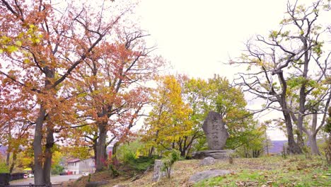 La-Mejor-Vista-En-Otaru