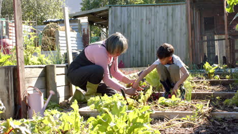 Abuela-Birracial-Mayor-Y-Nieto-Recogiendo-Verduras-En-Un-Jardín-Soleado,-Cámara-Lenta