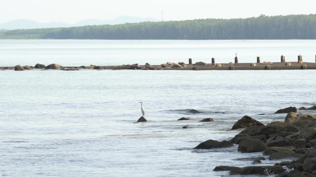 медленное движение морской воды.