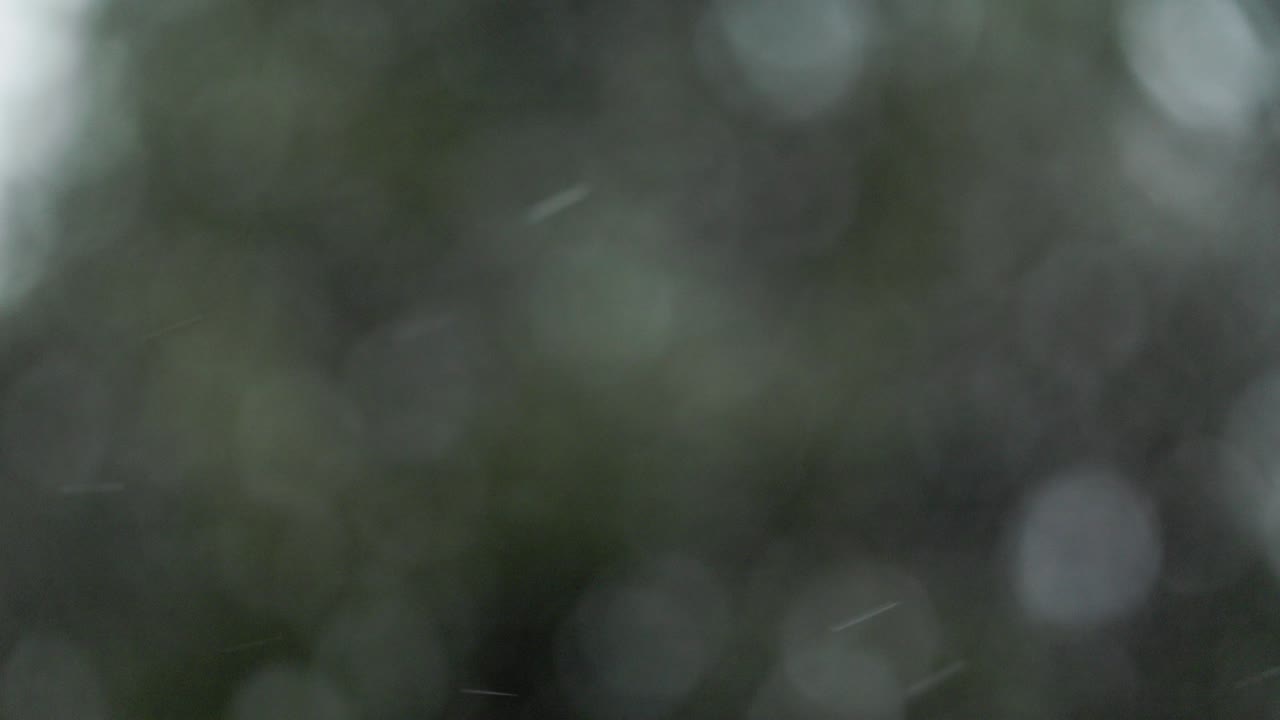 Big Blurry snowflakes falling in slow motion festive Christmas out of focus background