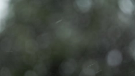 grandes copos de nieve borrosos cayendo en cámara lenta navidad festiva fondo desenfocado