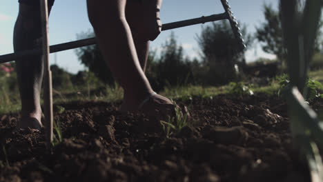 latin man plowing the land with a rake and his hands to cultivate organic food