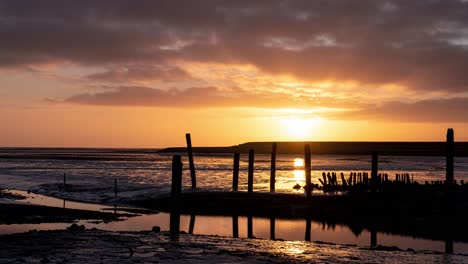 lapso de tiempo del amanecer sobre marismas, océano y costa con postes de madera en la isla texel frisian wadden