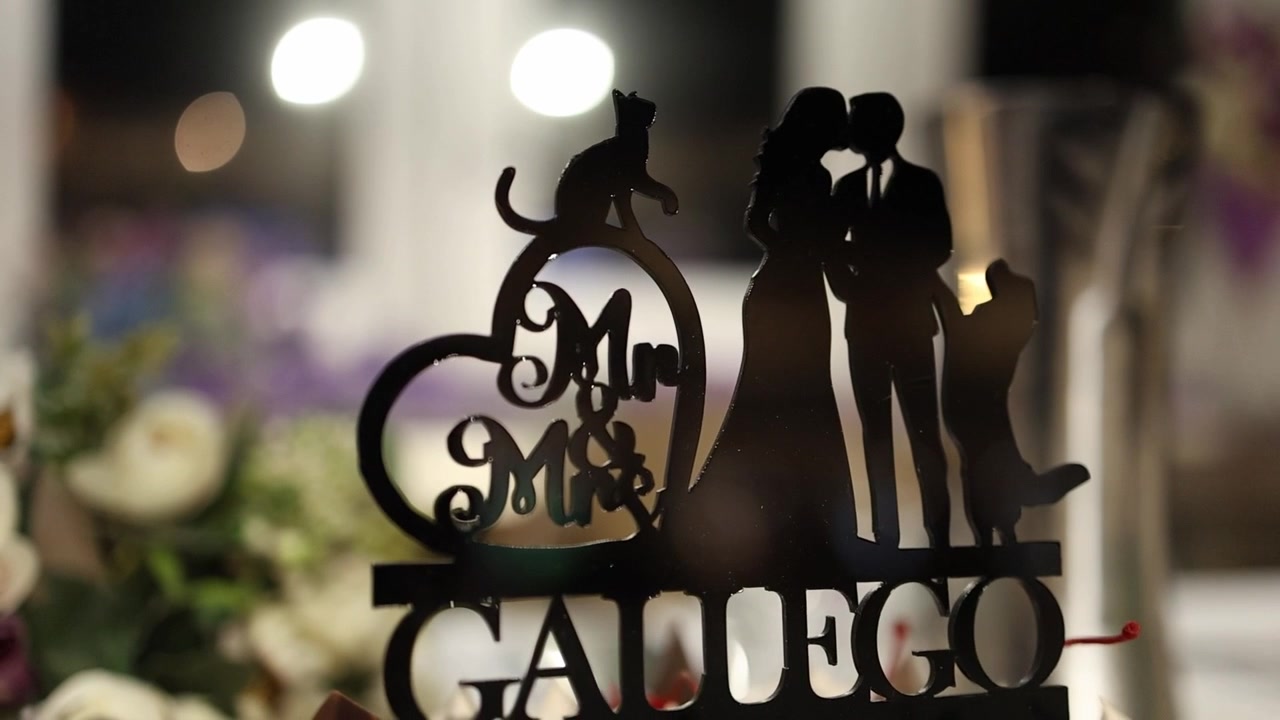 Primo piano delicatamente illuminato di un dettagliato cake topper nuziale che presenta sagome di sposi, cane e gatto, con sfondo floreale sfocato e un'atmosfera serale romantica
