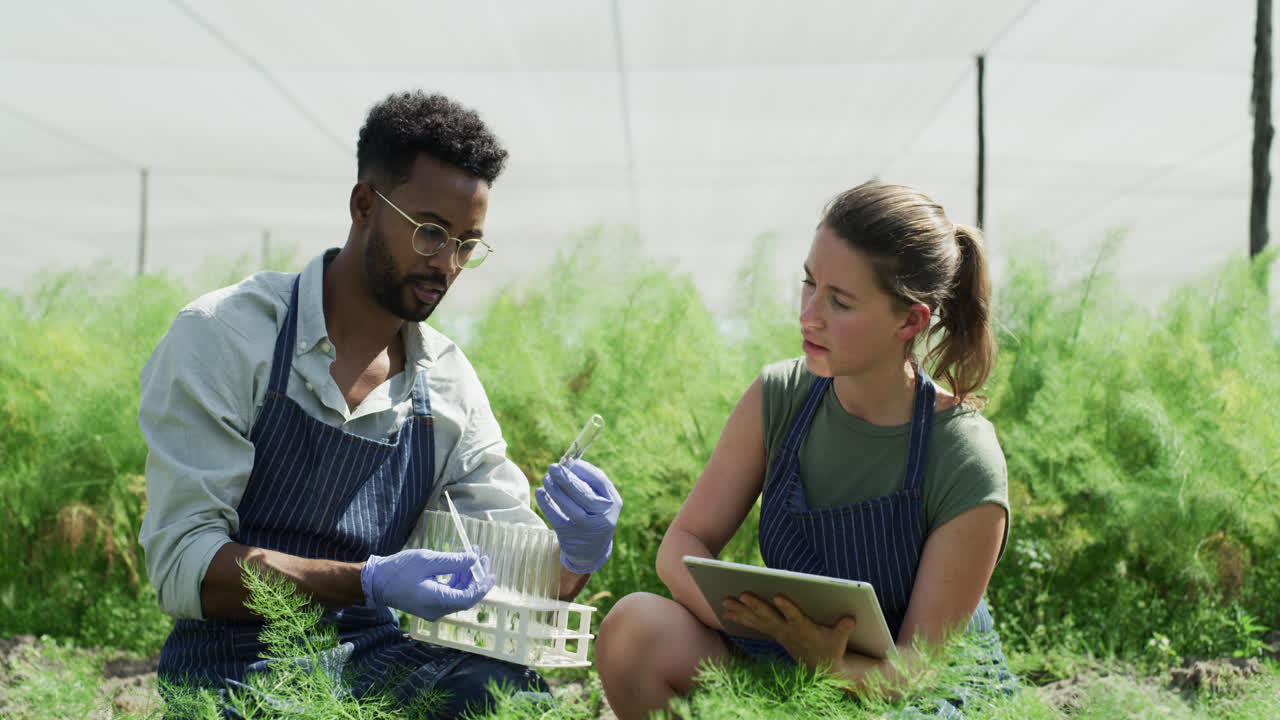 parece que están creciendo como deberían.