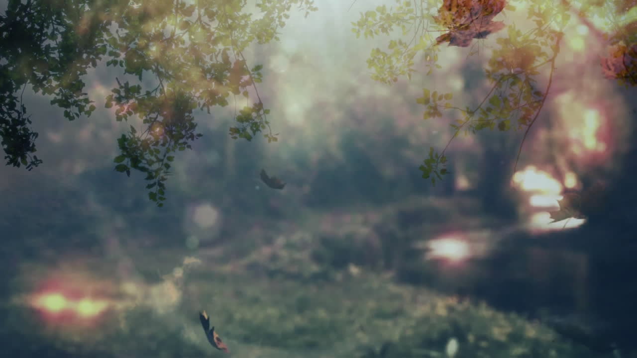 Sunlight filtering through trees, leaves falling gently in serene forest animation