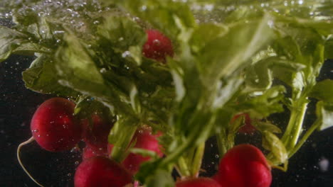 Bunch-of-Radish-Drop-in-Water-Dirt-to-Wash-in-Slow-Motion