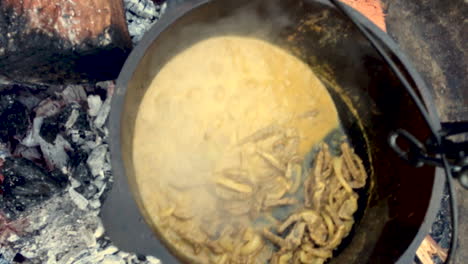 El-Hombre-Muestra-Un-Plato-De-Arroz-Y-Carne-Al-Curry-Hirviendo-Mientras-Acampa-En-Una-Cocina-De-Horno-De-Campamento