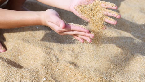 manos interactuando con la arena en una playa soleada
