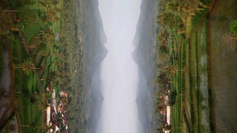 vista aérea escénica de terrazas de arroz agrícolas video vertical de estilo de inicio de dimensión paralela