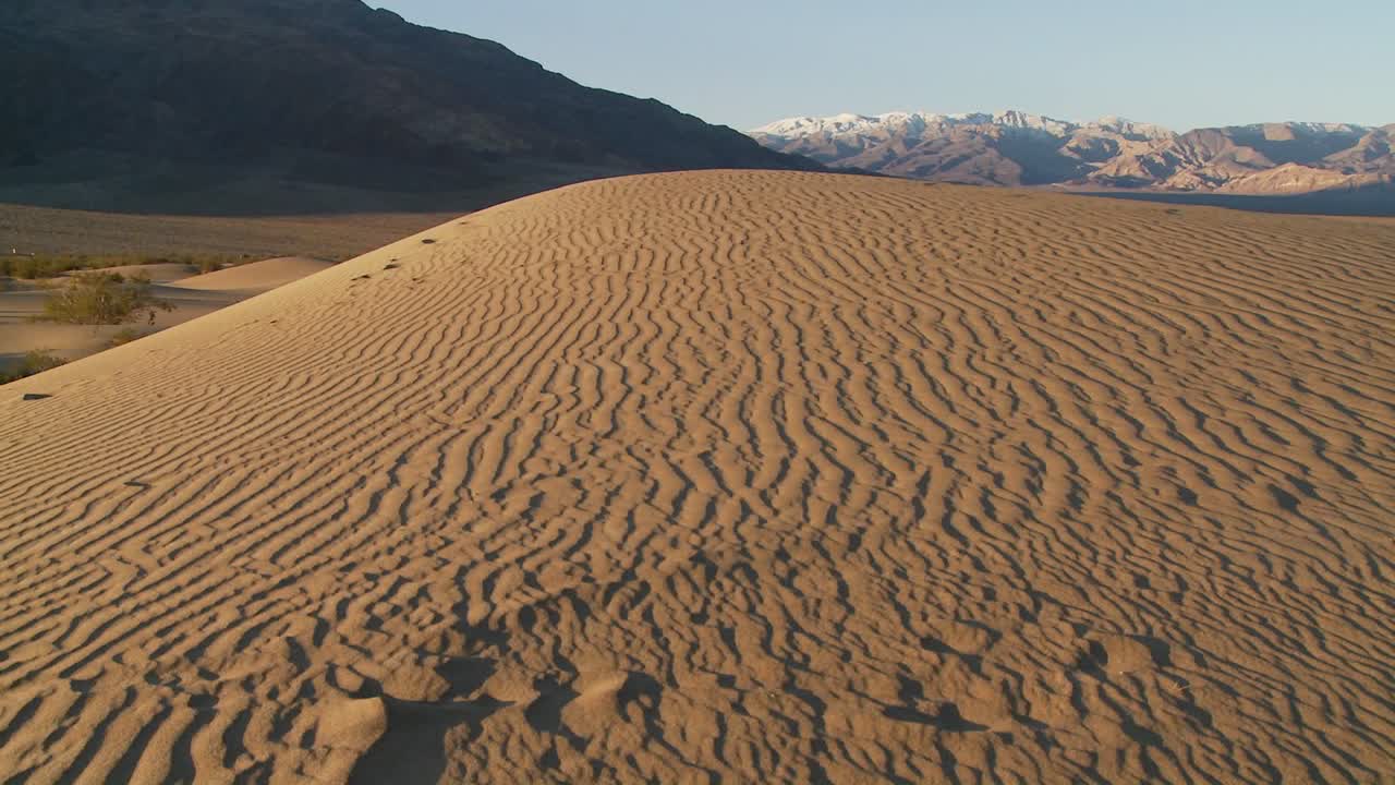 오아시스에서 건조한 사막의 모래 언덕을 가로지르는 팬