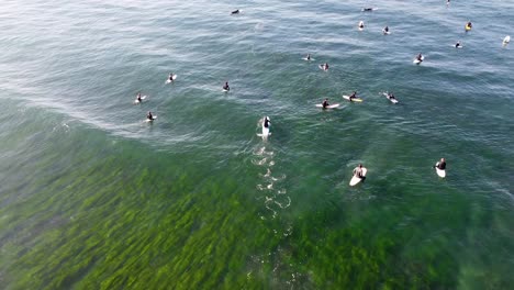 surfers-sitting-in-a-group-at-Terramar