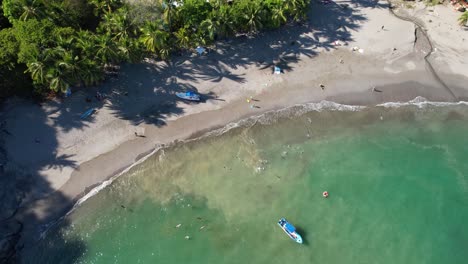 Bird's-eye-view-of-a-beach-where-pelicans-hunt-in-the-sea