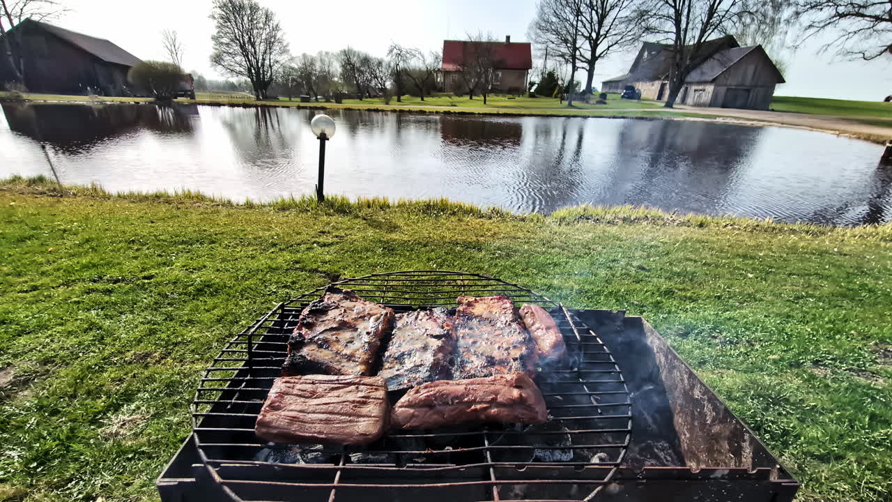 Sizzling Red Steak on a Camping Grill – Outdoor POV Cooking Over Open Fire