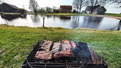 sizzling red steak on a camping grill – outdoor pov cooking over open fire