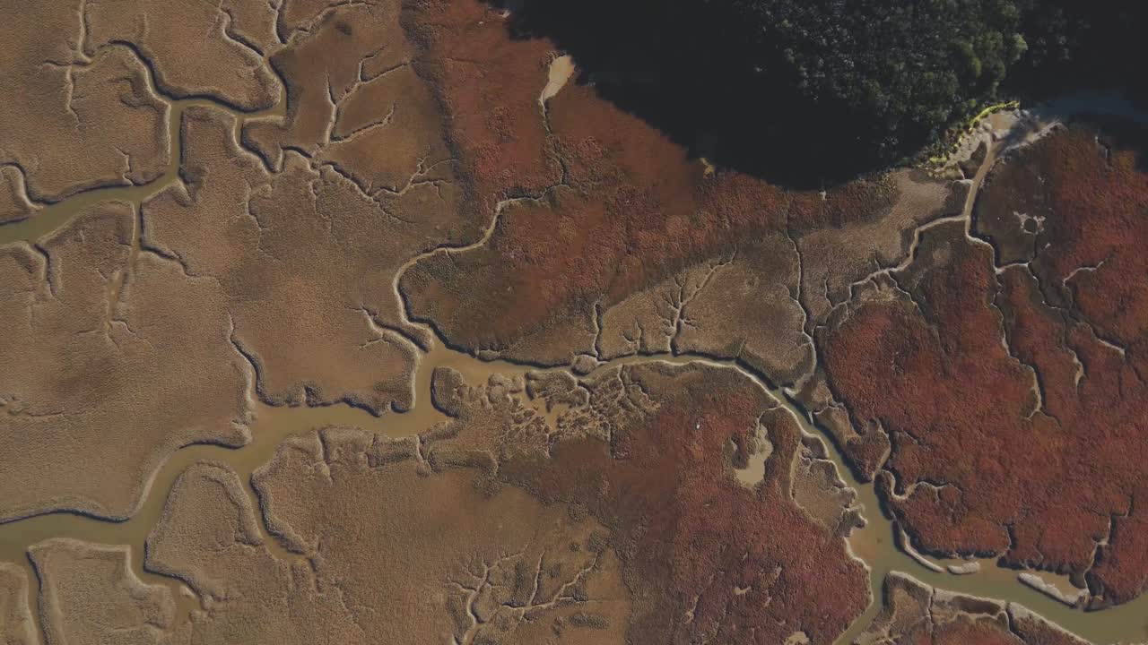 болото, где откладываются размытые реками осадки