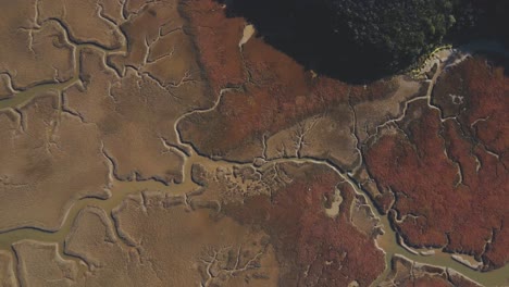 pantano donde se depositan los sedimentos erosionados por los ríos