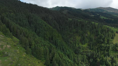 Flying-Above-Green-Forest-at-Stunning-Crater-Massif