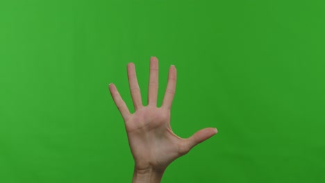 hand gestures showing number three and five