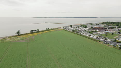 drone flight over a field of peas in essex, uk